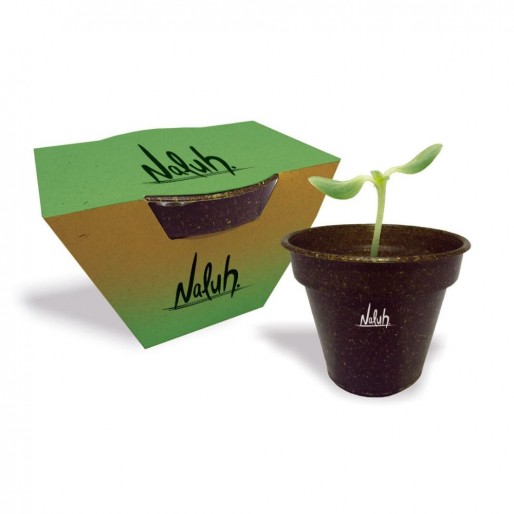 Kit para plantar na caixa